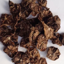 诺丽果干诺丽果干诺丽干果海巴戟果干诺尼果干