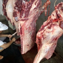 驴肉