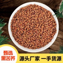 苦荞茶包邮农副产品大凉山黑苦荞茶黄苦荞茶浓香