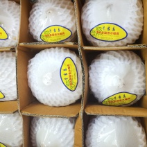 泰国普吉岛香水奶椰青