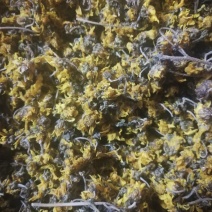 菊花茶/农民自采野生菊花/蒸制晒干成茶