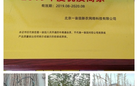 柑桔价格行情_今日柑桔价格多少钱一斤 _ 一亩田