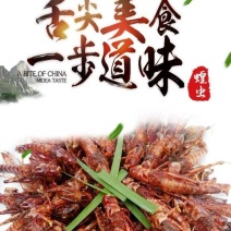 批发速冻蚂蚱，速冻蝗虫，批发蚂蚱蝗虫