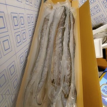 深海大刀鱼