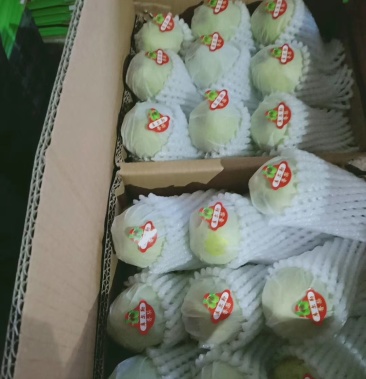 新疆阿克苏特级香梨精品纸箱打包装车中