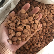 甜杏仁，南杏仁，新货大颗粒