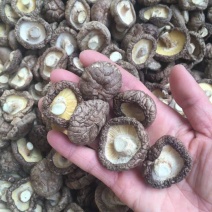 小香菇香菇干货