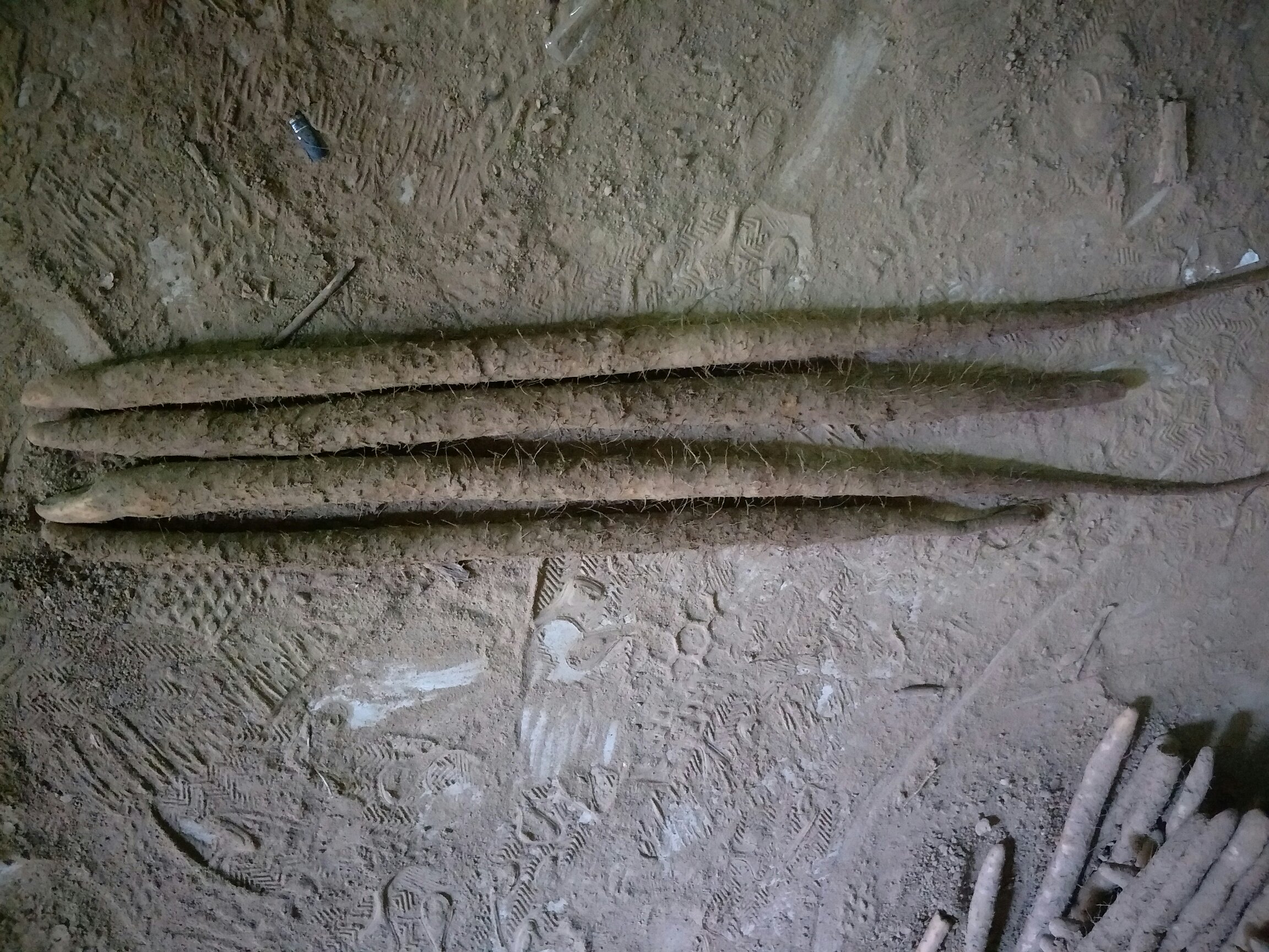 几位农民在田间手工采挖淮山药,使用锄头小心翻土,露出长长的白色或浅褐色山药块茎,泥土湿润,周围散落着已采收的山药,背景为秋日田野 农民正在采挖淮山药