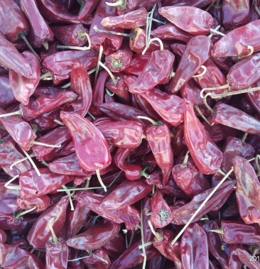 大量供应大板椒千金红