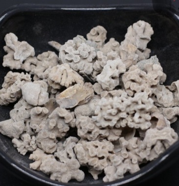 海藻石 可打粉 专营中药批发 品质保证