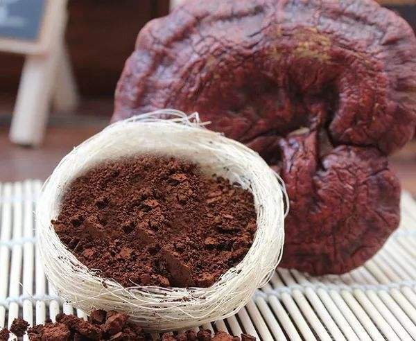 一张科学插画风格的图片,中央展示两个主要活性分子结构式:左侧为灵芝酸A(Ganoderic acid A),右侧为β-D-葡聚糖链段;背景为微观视角下的灵芝菌丝网络,附带简要标注说明各成分的生理功能,如‘抗炎’、‘免疫调节’、‘抗氧化’等 灵芝活性成分分子结构示意图