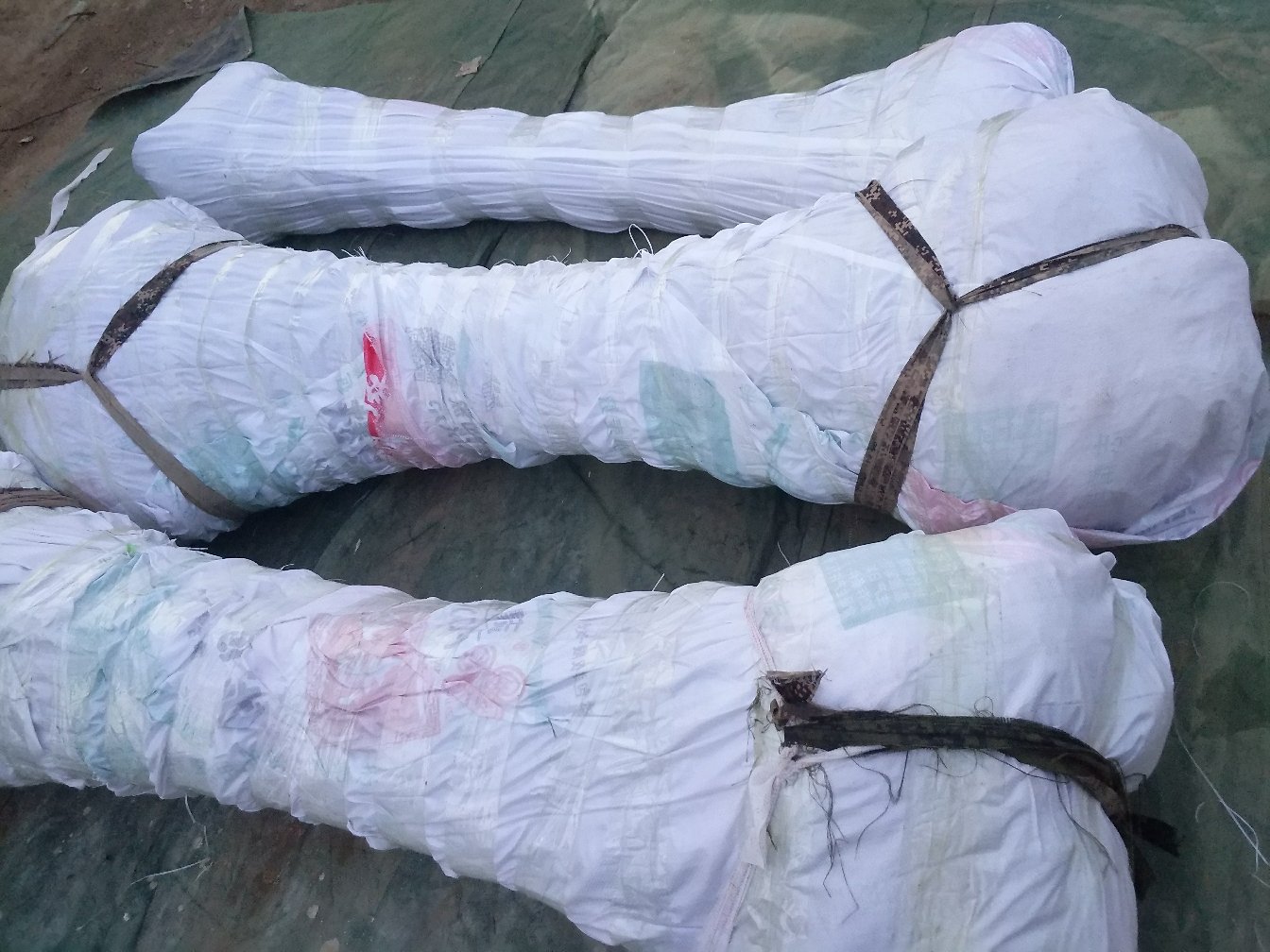 藤木苹果电商包装与销售场景展示其在电商平台的热销状态 藤木苹果电商包装与销售场景