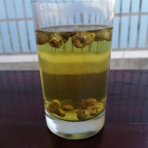 杭白菊胎菊花茶