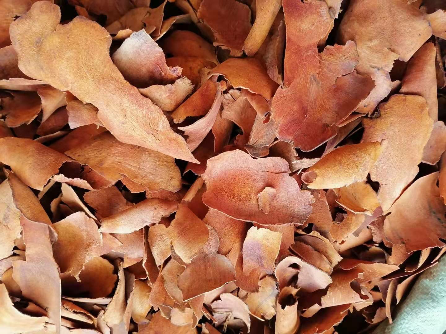 木瓜与风湿疼痛