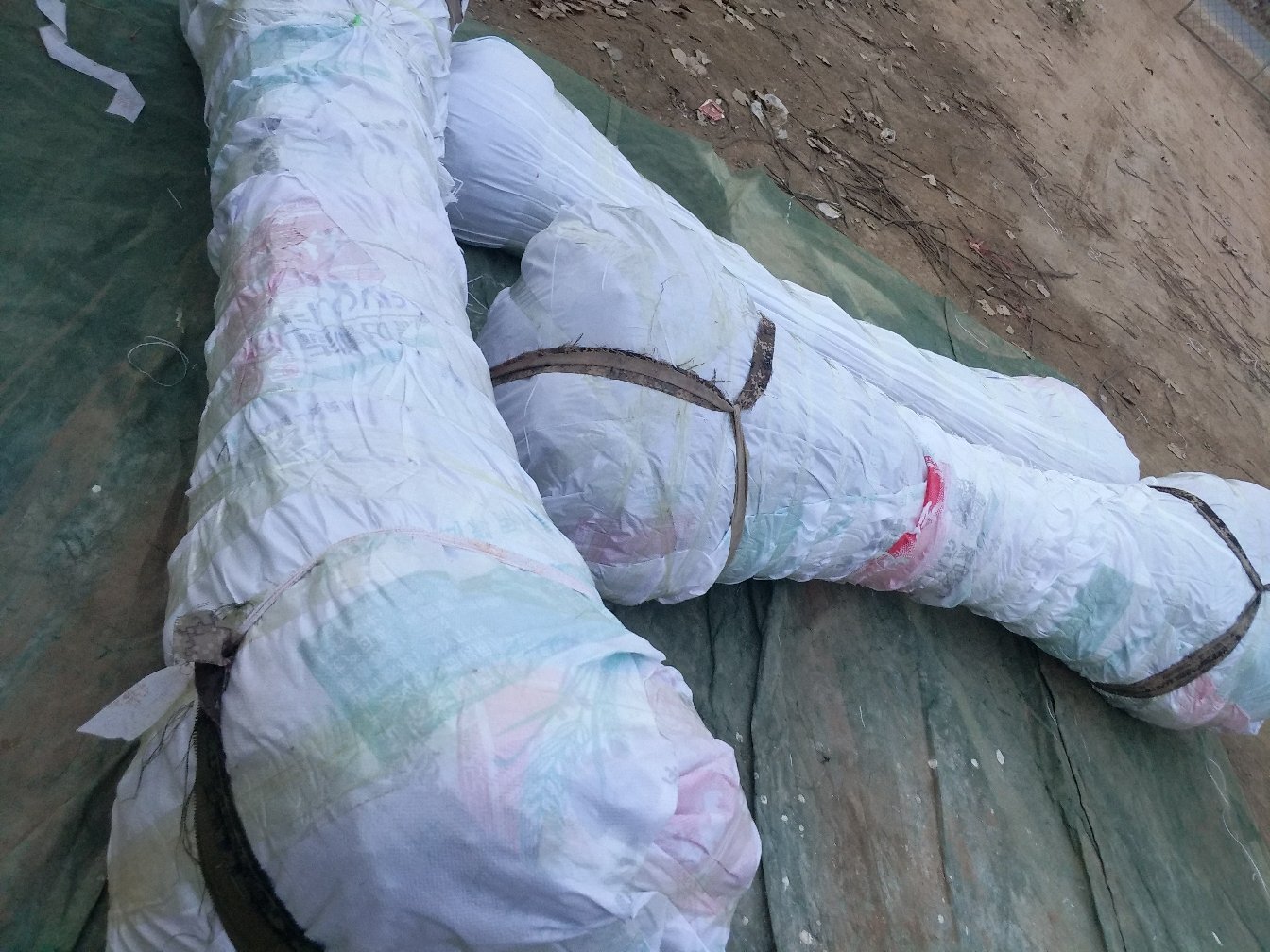 山楂去籽操作图