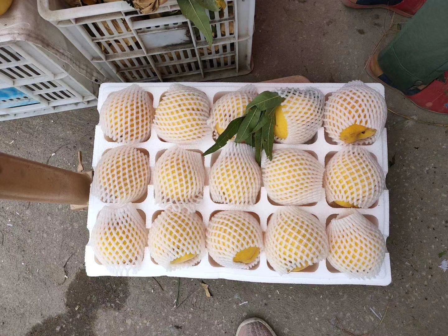 太和黄桃包装与电商销售场景