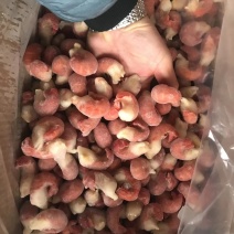 龙虾尾