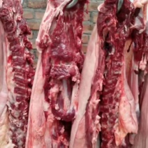 驴肉新鲜现杀驴肉现杀现卖专业批发欢迎订购