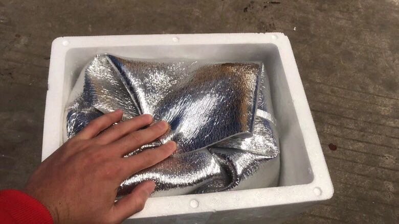 芒果埋入大米中催熟示意图