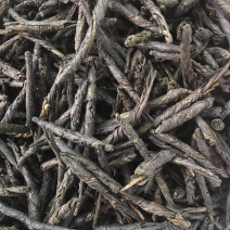 苦丁茶【包邮】三斤起发货可批量可零售量大从优