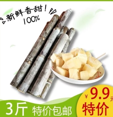 【有好货样品】广西特产新鲜甘蔗3/5/9斤白皮脆甜多汁