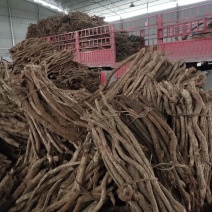 大量供应中药材，大小钻，小名黑老虎
