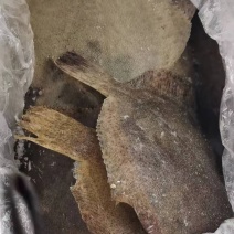 多宝鱼，多宝鱼，中港集团工厂