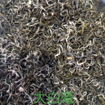 大白毫茉莉花茶广西横州市浓香型茉莉花茶产地