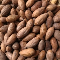 榧子浙江1公斤起批无硫无添加不包邮只做正品