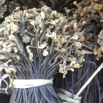 蕨菜干，优质野生干蕨菜，把菜，长期有货批发，共利共赢