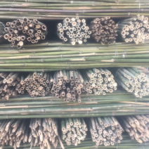 竹杆，豆角架，菜架竹，大量批发，竹片，竹羊床