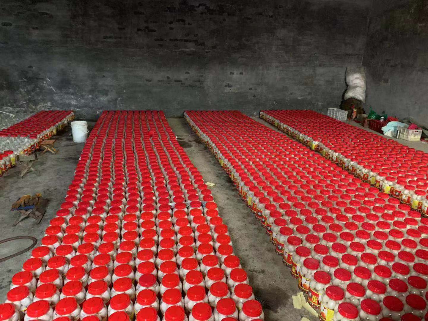 红李子装瓶腌制过程图