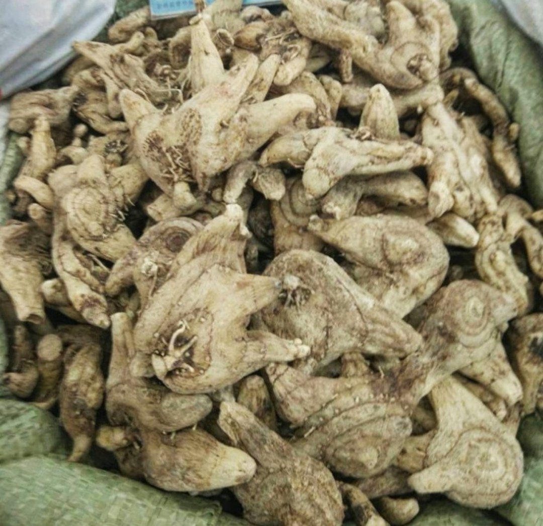 白芷药用与食用对比图
