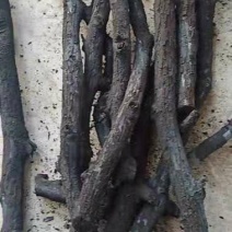 枣木炭,烧烤木炭
