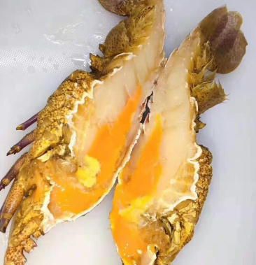 南海活冻排虾犀牛虾琵琶虾虾蛄