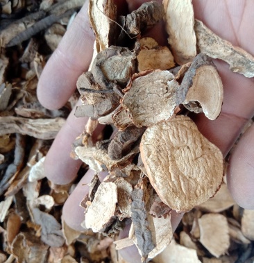 白蔹1公斤起批不包邮量大电议欢迎咨询各种中药材