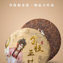 普洱茶金枝玉叶+新会小青柑+普洱针礼盒套装一箱12件