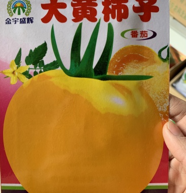 【买二送一】大黄柿子 大黄番茄 酸甜可口