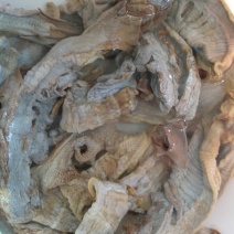 毛笋干