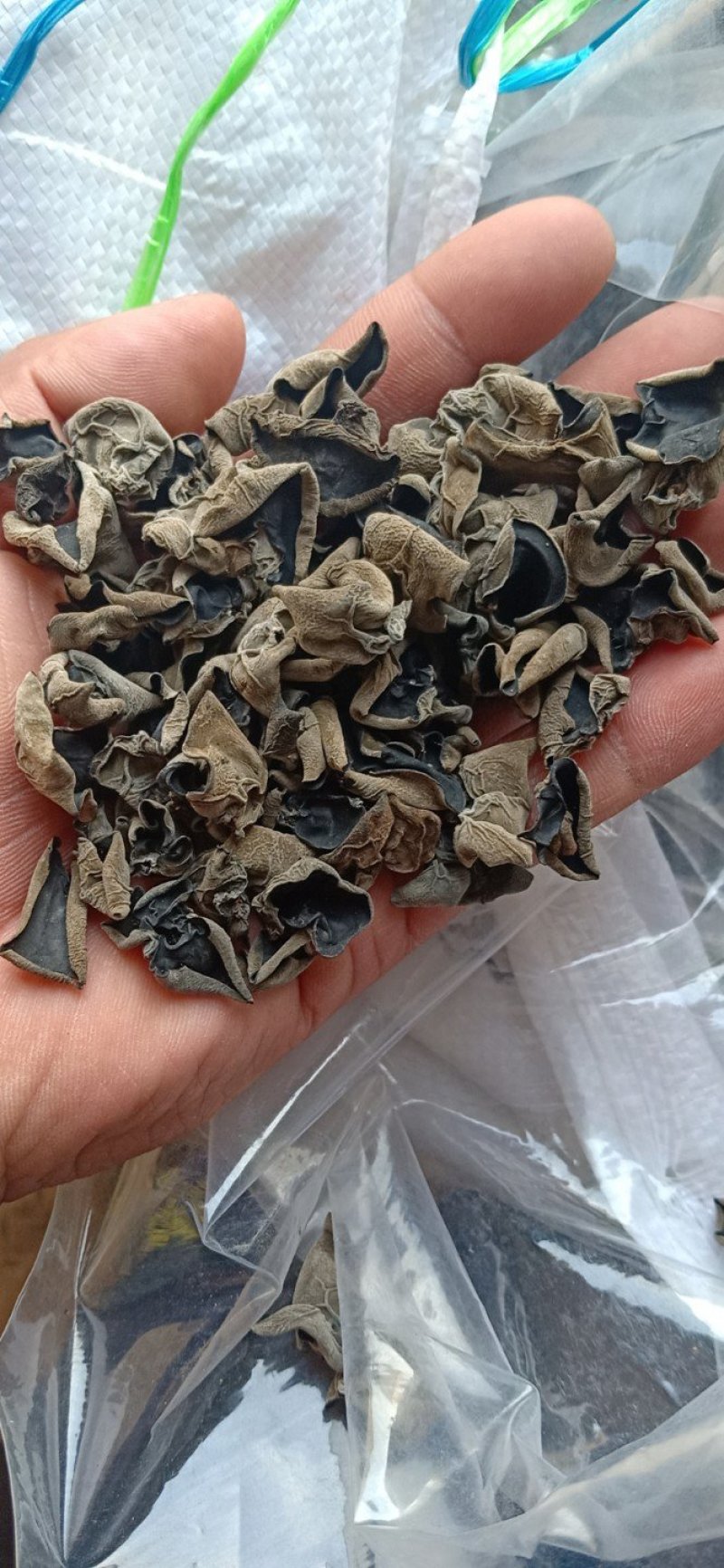 东北15木耳干度好颜色黑口感柔一包40斤货发全