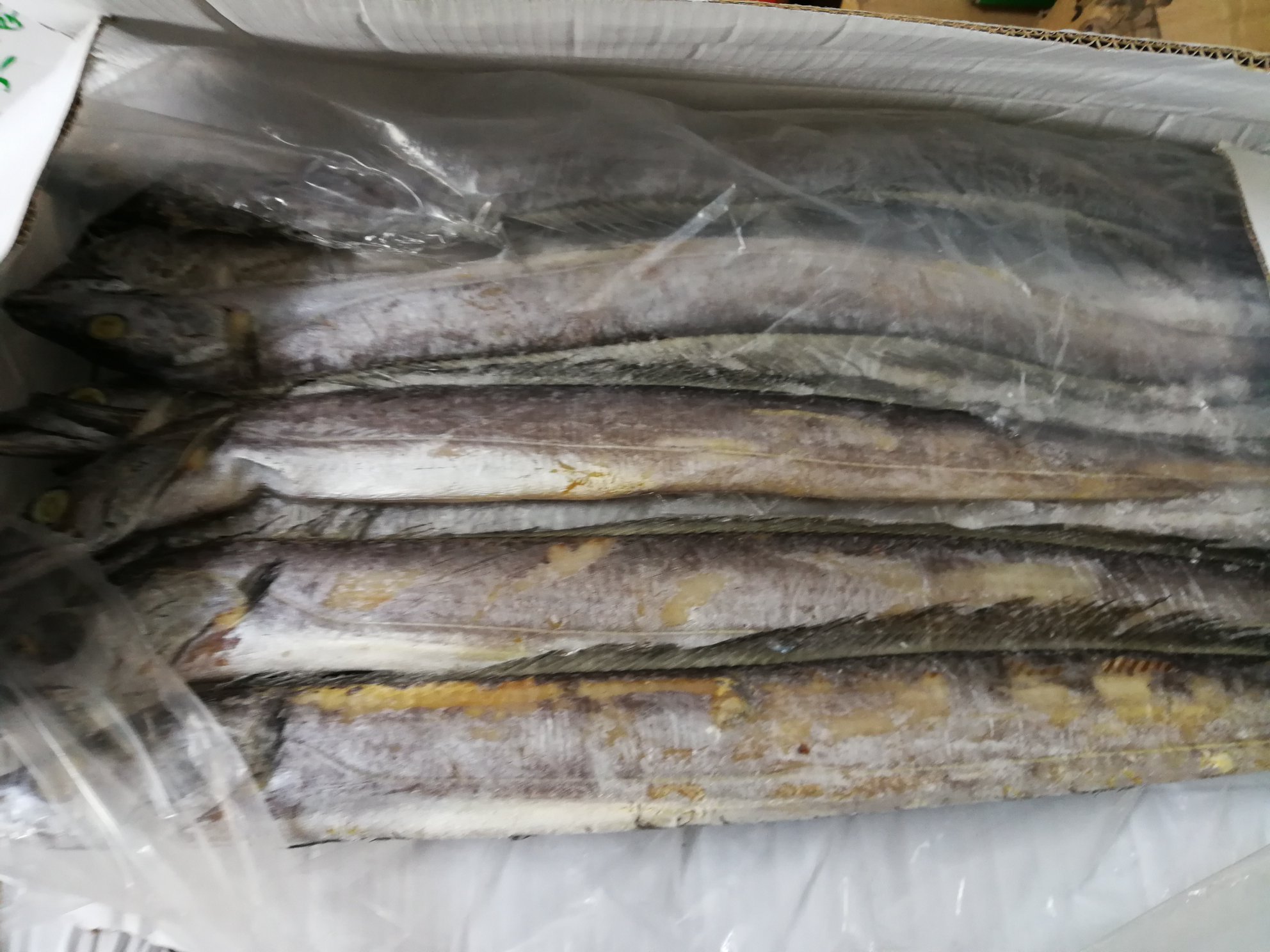 豆角与海带分别焯水处理特写