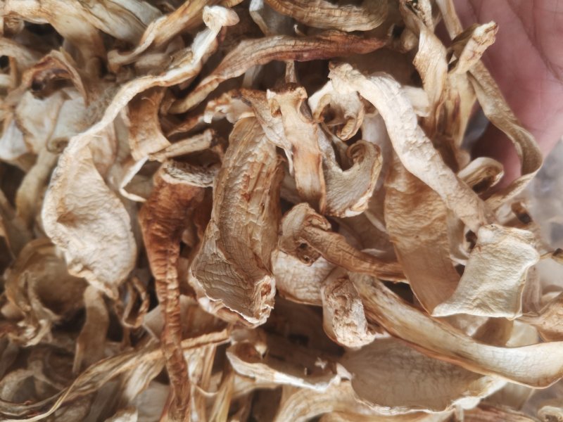 大量批发长白山松茸干片野生松茸食用菌松茸