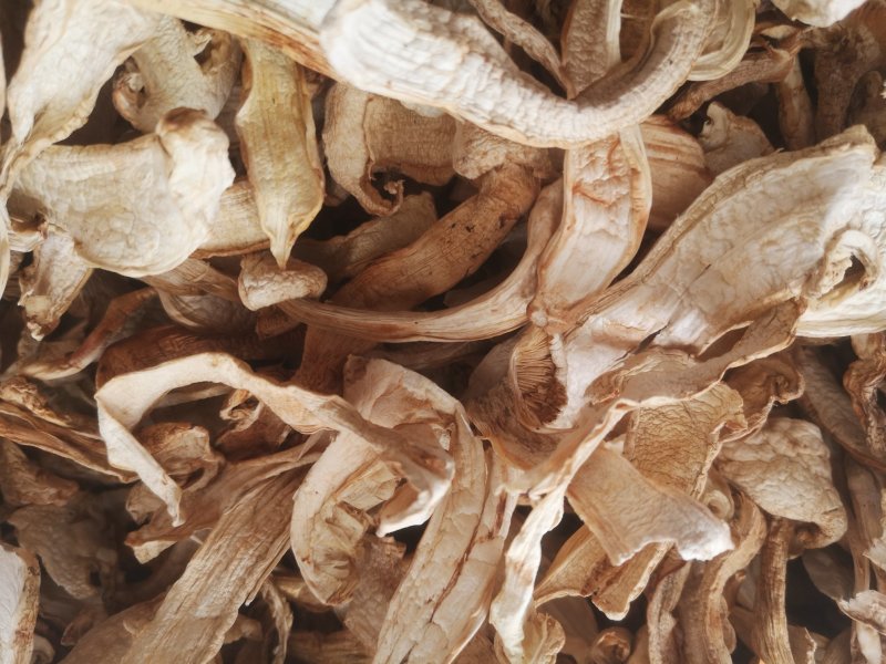 大量批发长白山松茸干片野生松茸食用菌松茸