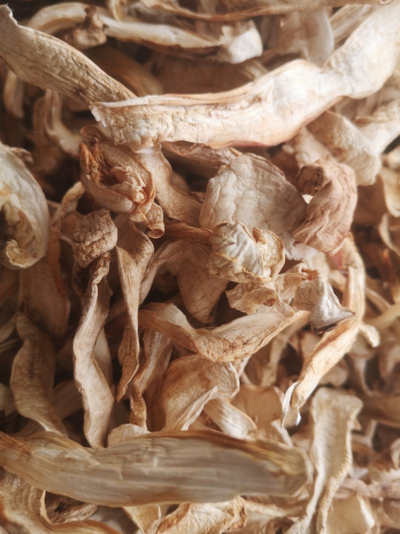 大量批发长白山松茸干片野生松茸食用菌松茸