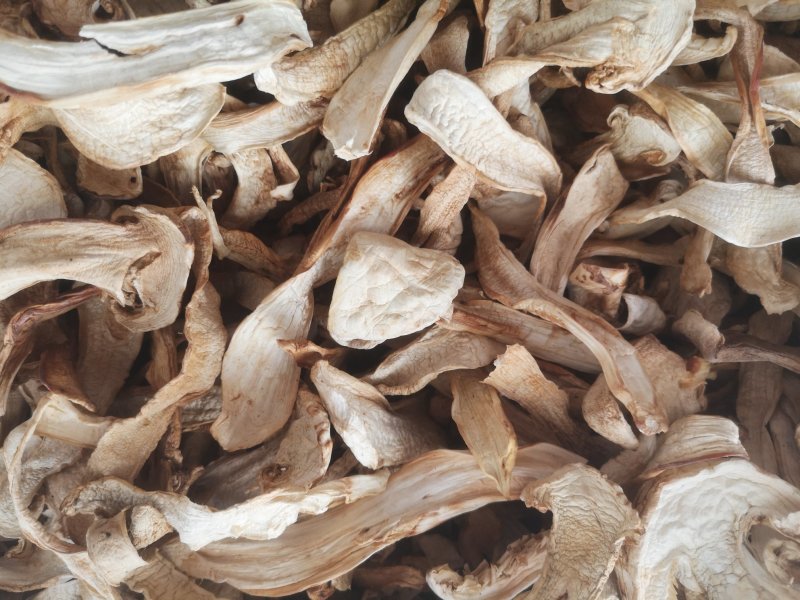 大量批发长白山松茸干片野生松茸食用菌松茸
