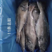 格陵兰整条分装精选单冻鲽鱼