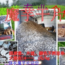 云南花魔芋干片出粉率高价格低周边可以送货上门