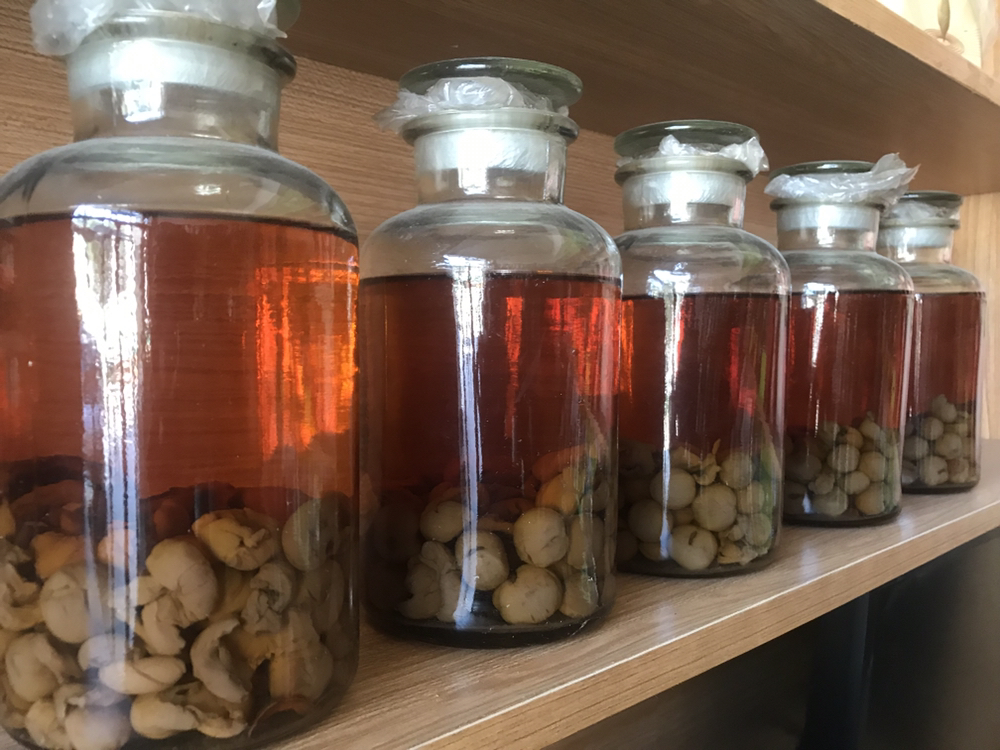 丹桂制成的桂花糕与桂花酒