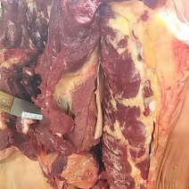 正宗驴肉