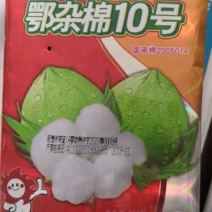 鄂杂棉10号，基因抗虫杂交棉